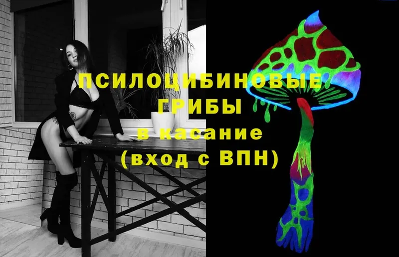 МЕГА как войти  Северодвинск  Галлюциногенные грибы Psilocybe 